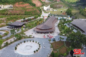 Mộc Châu thu hút khách du xuân